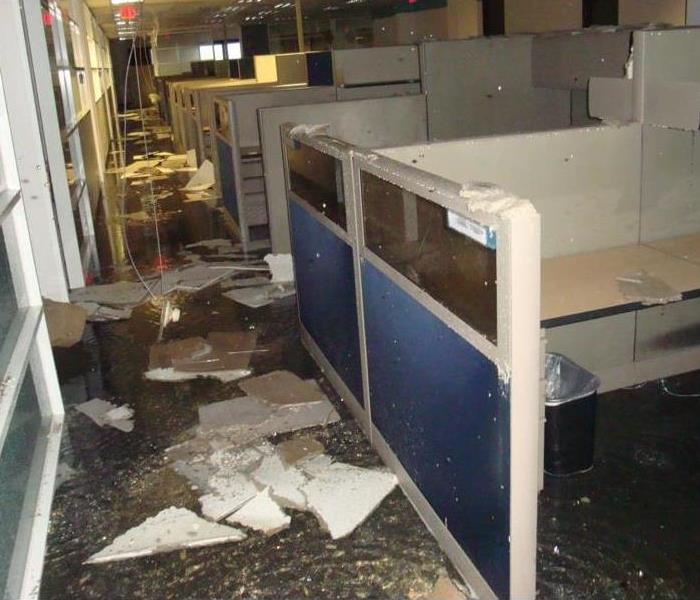 Pools of water on the floor around cubicles in an office.