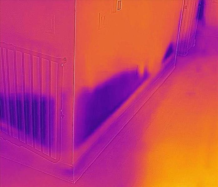 Thermal image of water damage.