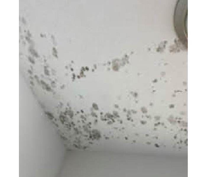 Mold growth on wall.