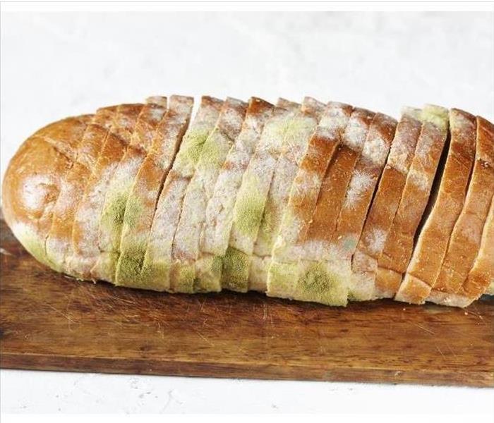 Bread with mold growth
