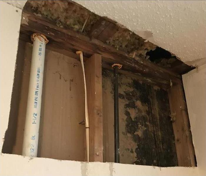 Drywall removal, mold growth found behind drywall.
